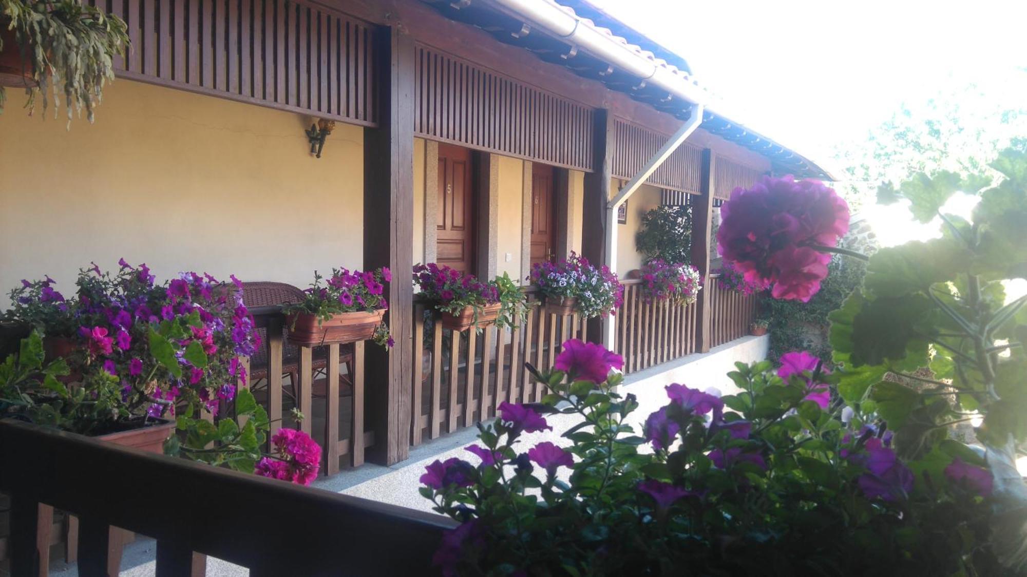 Agroturismo Quinta Dom Jose Брага Екстериор снимка
